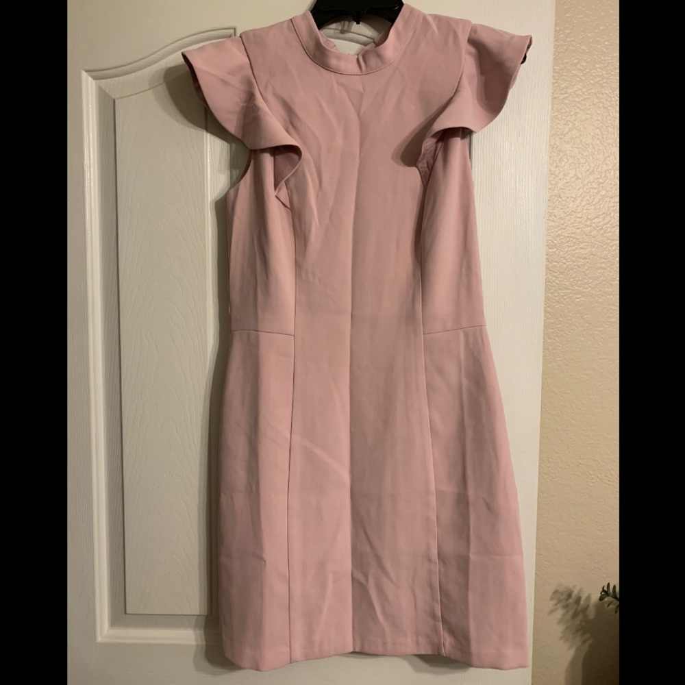 NWT Ruffled Sleeve Dress